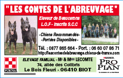 Mon Album photo